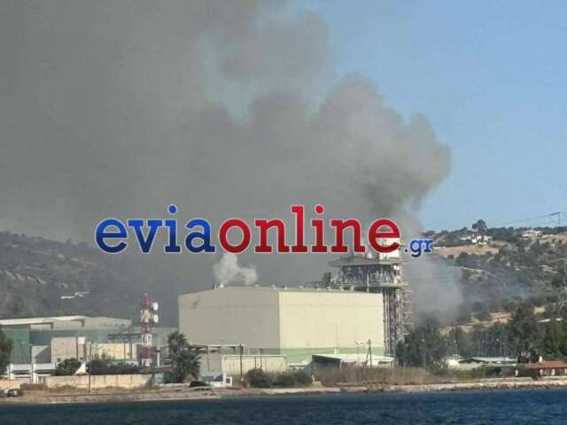 Φωτιά τώρα στην Ανθούπολη Εύβοιας - Κινητοποίηση της Πυροσβεστικής, δείτε βίντεο
