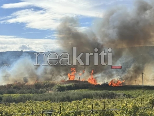 Κρήτη: Συναγερμός για φωτιά στις Μαλάδες – Ήχησε το 112