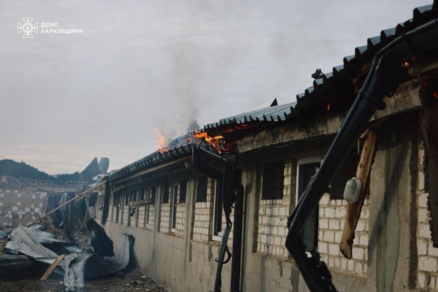 Πόλεμος στην Ουκρανία: Ρωσικό πλήγμα σε χοιροτροφείο του Χαρκόβου - Νεκρά 13.000 ζώα