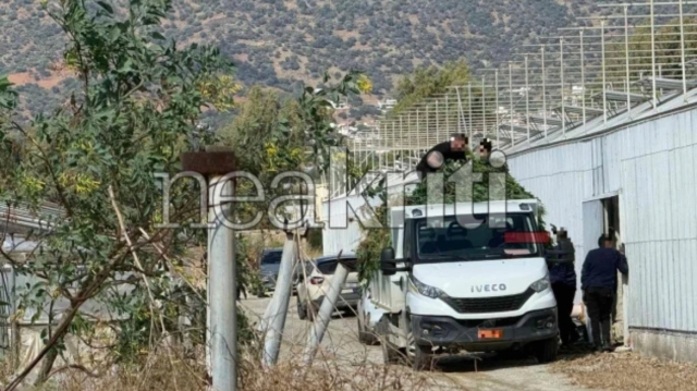 Μεγάλη αστυνομική επιχείρηση στη Μεσσαρά: Ξήλωσαν χασισοφυτεία «μαμούθ» με πάνω από 1.000 δενδρύλλια κάνναβης