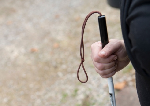 Πρόγραμμα «Λευκό Μπαστούνι» από την Άρτα μέχρι τον Βόλο: Η Σχολή σκύλων οδηγών Λάρα στο πλευρό των ανθρώπων με οπτική βλάβη