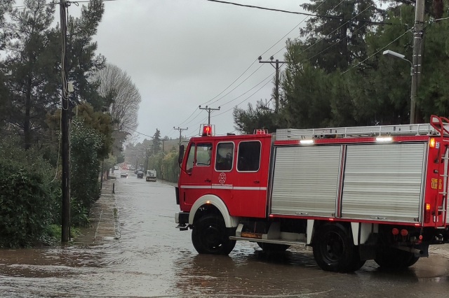 Προβλήματα από την κακοκαιρία στη Ζάκυνθο: Πλημμύρισαν δρόμοι, έπεσαν δέντρα