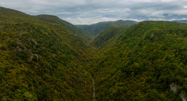 Οδοιπορικό στο Πωγώνι: Απολαμβάνοντας τα αληθινά χρώματα της Φύσης σε έναν ανέγγιχτο τόπο