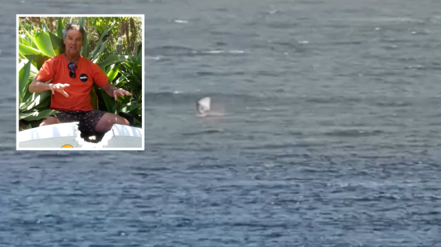 Σέρφερ στην Αυστραλία ήρθε πρόσωπο με πρόσωπο με καρχαρία - Του δάγκωσε τη σανίδα: «Ζω για να πω την ιστορία», δείτε βίντεο