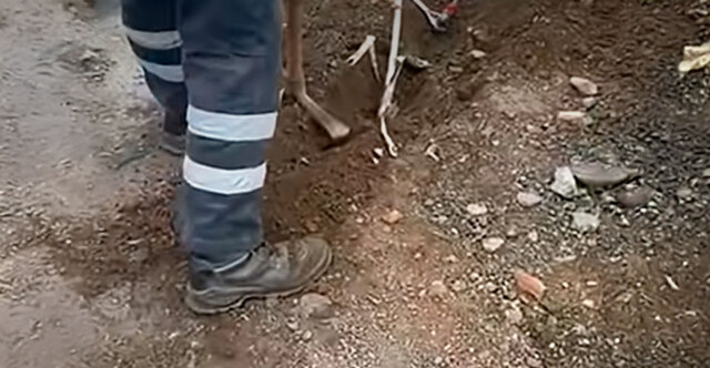 Νέο παράνομο δίκτυο υδροδότησης στη Μάνδρα: Οικισμός έπαιρνε νερό με λάστιχο 1,5 χλμ. από δημοτική παροχή - Δείτε βίντεο