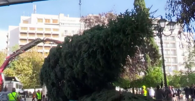 Έφτασαν σε Σύνταγμα και Αριστοτέλους τα χριστουγεννιάτικα δέντρα σε Αθήνα και Θεσσαλονίκη - Δείτε βίντεο