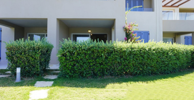 Πουλούσαν παιδιά και σε μοναχικούς άνδρες - Νέες αποκαλύψεις για την «βιομηχανία βρεφών» στα Χανιά