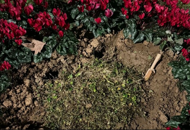 Άγνωστοι ξήλωσαν τη μαρμάρινη πλάκα για τις κακοποιημένες και δολοφονημένες γυναίκες στη Θεσσαλονίκη