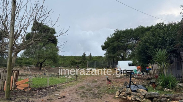 Η ΟΙΚΟΓΕΝΕΙΑ ΕΙΧΕ ΒΡΕΙ ΑΔΕΣΠΟΤΟ ΤΟ ΠΙΤΜΠΟΥΛ ΚΑΙ ΤΟ ΦΙΛΟΞΕΝΟΥΣΕ ΜΕΧΡΙ ΝΑ ΔΟΘΕΙ ΓΙΑ ΥΙΟΘΕΣΙΑ: ΠΩΣ ΕΓΙΝΕ Η ΤΡΑΓΩΔΙΑ ΜΕ ΤΟΝ 2ΧΡΟΝΟ ΣΤΗ ΖΑΚΥΝΘΟ