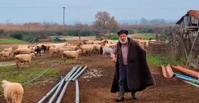 Η ΙΣΤΟΡΙΚΗ ΦΥΛΗ ΠΡΟΒΑΤΩΝ ΡΟΥΜΛΟΥΚΙΟΥ ΠΟΥ ΕΚΑΝΕ ΤΟΝ ΚΤΗΝΟΤΡΟΦΟ ΤΗΣ ΘΕΣΣΑΛΟΝΙΚΗΣ ΝΑ ΛΥΓΙΣΕΙ: ΓΙΑΤΙ ΚΙΝΔΥΝΕΥΕΙ ΜΕ ΕΞΑΦΑΝΙΣΗ