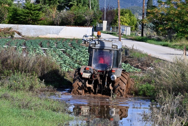 Παράταση για πληρωμή αγροτικών εισφορών και αποζημιώσεων από φυσικές καταστροφές, τι ισχύει για όσους χρωστούν στον ΕΛΓΑ