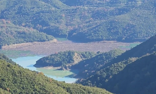 Ά&rho;&tau;&alpha;: &Chi;&iota;&lambda;&iota;ά&delta;&epsilon;&sigmaf; &kappa;&omicron;&rho;&mu;&omicron;ί &delta;έ&nu;&tau;&rho;&omega;&nu; έ&chi;&omicron;&upsilon;&nu; &kappa;&alpha;&lambda;ύ&psi;&epsilon;&iota; &tau;&eta; &lambda;ί&mu;&nu;&eta; &Pi;&omicron;&upsilon;&rho;&nu;&alpha;&rho;ί&omicron;&upsilon; &mu;&epsilon;&tau;ά &tau;&iota;&sigmaf; &iota;&sigma;&chi;&upsilon;&rho;έ&sigmaf; &beta;&rho;&omicron;&chi;&omicron;&pi;&tau;ώ&sigma;&epsilon;&iota;&sigmaf;