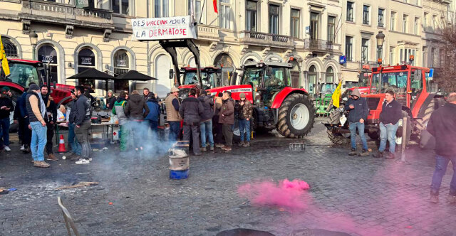 &Chi;ά&omicron;&sigmaf; &sigma;&tau;&iota;&sigmaf; &Beta;&rho;&upsilon;&xi;έ&lambda;&lambda;&epsilon;&sigmaf;: &Phi;&omega;&tau;&iota;έ&sigmaf;, &kappa;&alpha;&pi;&nu;&omicron;&gamma;ό&nu;&alpha; &kappa;&alpha;&iota; &delta;&alpha;&kappa;&rho;&upsilon;&gamma;ό&nu;&alpha; &sigma;&tau;&eta; &sigma;&upsilon;&gamma;&kappa;έ&nu;&tau;&rho;&omega;&sigma;&eta; &tau;&omega;&nu; &alpha;&gamma;&rho;&omicron;&tau;ώ&nu; &mu;&pi;&rho;&omicron;&sigma;&tau;ά &alpha;&pi;ό &tau;&omicron; &epsilon;&upsilon;&rho;&omega;&kappa;&omicron;&iota;&nu;&omicron;&beta;&omicron;ύ&lambda;&iota;&omicron;, &delta;&epsilon;ί&tau;&epsilon; live