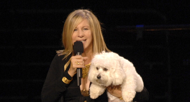 &Kappa;&lambda;&omega;&nu;&omicron;&pi;&omicron;ί&eta;&sigma;&eta; &kappa;&alpha;&tau;&omicron;&iota;&kappa;ί&delta;&iota;&omega;&nu;: &Alpha;&pi;ό &tau;&eta; &Mu;&pi;ά&rho;&mu;&pi;&rho;&alpha; &Sigma;&tau;&rho;έ&iota;&zeta;&alpha;&nu;&tau;, &tau;&omicron;&nu; &Mu;&iota;&lambda;έ&iota; &kappa;&alpha;&iota; &tau;&omicron;&nu; &Tau;&omicron;&mu; &Mu;&pi;&rho;έ&iota;&nu;&tau;&iota;, &sigma;&epsilon; &mu;&iota;&alpha; &beta;&iota;&omicron;&mu;&eta;&chi;&alpha;&nu;ί&alpha; &delta;&iota;&sigma;&epsilon;&kappa;&alpha;&tau;&omicron;&mu;&mu;&upsilon;&rho;ί&omega;&nu;