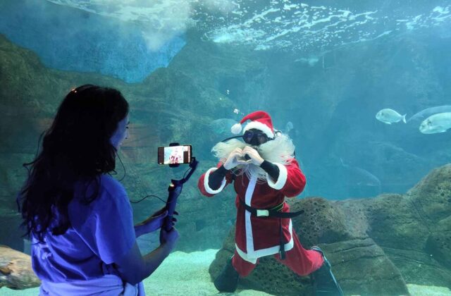 &Chi;&rho;&iota;&sigma;&tau;&omicron;&upsilon;&gamma;&epsilon;&nu;&nu;&iota;ά&tau;&iota;&kappa;&eta; &xi;&epsilon;&nu;ά&gamma;&eta;&sigma;&eta; &sigma;&tau;&omicron; &Epsilon;&nu;&upsilon;&delta;&rho;&epsilon;ί&omicron; &Kappa;&rho;ή&tau;&eta;&sigmaf; &gamma;&iota;&alpha; &pi;&alpha;&iota;&delta;&iota;ά &pi;&omicron;&upsilon; &nu;&omicron;&sigma;&eta;&lambda;&epsilon;ύ&omicron;&nu;&tau;&alpha;&iota;