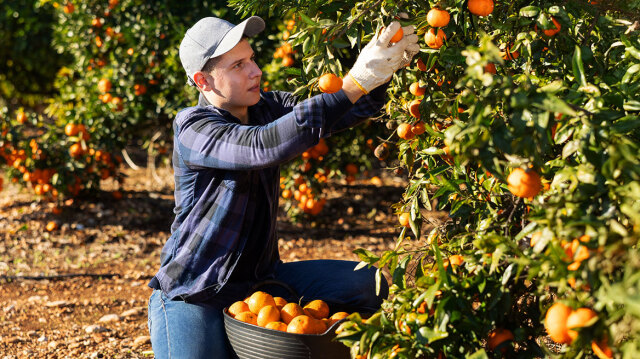 &Pi;ώ&sigmaf; &theta;&alpha; &pi;&rho;&omicron;&sigma;&tau;&alpha;&tau;&epsilon;ύ&omicron;&nu;&tau;&alpha;&iota; &omicron;&iota; Έ&lambda;&lambda;&eta;&nu;&epsilon;&sigmaf; &pi;&alpha;&rho;&alpha;&gamma;&omega;&gamma;&omicron;ί &kappa;&alpha;&iota; &tau;&alpha; 21 &epsilon;&lambda;&lambda;&eta;&nu;&iota;&kappa;ά &Pi;&Omicron;&Pi; &pi;&rho;&omicron;ϊό&nu;&tau;&alpha; &sigma;&tau;&eta; &Sigma;&upsilon;&mu;&phi;&omega;&nu;ί&alpha; Mercosur