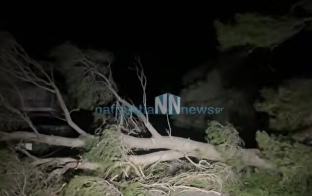 H &kappa;&alpha;&kappa;&omicron;&kappa;&alpha;&iota;&rho;ί&alpha; &sigma;&alpha;&rho;ώ&nu;&epsilon;&iota; &tau;&eta; &Delta;&upsilon;&tau;&iota;&kappa;ή &Epsilon;&lambda;&lambda;ά&delta;&alpha;: &Sigma;&tau;&omicron; &sigma;&kappa;&omicron;&tau;ά&delta;&iota; &chi;&omega;&rho;&iota;ά &sigma;&tau;&eta; &Nu;&alpha;&upsilon;&pi;&alpha;&kappa;&tau;ί&alpha;, &pi;&epsilon;&rho;&iota;&omicron;&rho;&iota;&sigma;&mu;&omicron;ί &sigma;&tau;&eta;&nu; &kappa;&upsilon;&kappa;&lambda;&omicron;&phi;&omicron;&rho;ί&alpha; &sigma;&tau;&eta; &gamma;έ&phi;&upsilon;&rho;&alpha; &Rho;ί&omicron;&upsilon; - &Alpha;&nu;&tau;&iota;&rho;&rho;ί&omicron;&upsilon;