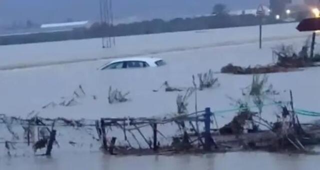 &Phi;&omicron;&nu;&iota;&kappa;ή &kappa;&alpha;&kappa;&omicron;&kappa;&alpha;&iota;&rho;ί&alpha; &sigma;&tau;&eta;&nu; &Tau;&upsilon;&nu;&eta;&sigma;ί&alpha;: &Tau;&omicron;&upsilon;&lambda;ά&chi;&iota;&sigma;&tau;&omicron;&nu; &tau;έ&sigma;&sigma;&epsilon;&rho;&iota;&sigmaf; &nu;&epsilon;&kappa;&rho;&omicron;ί &alpha;&pi;ό &tau;&iota;&sigmaf; &sigma;&phi;&omicron;&delta;&rho;έ&sigmaf; &beta;&rho;&omicron;&chi;&omicron;&pi;&tau;ώ&sigma;&epsilon;&iota;&sigmaf;