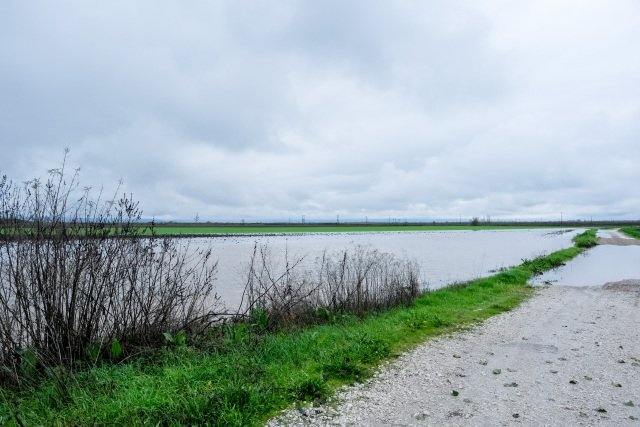 &Sigma;&epsilon; &kappa;&alpha;&tau;ά&sigma;&tau;&alpha;&sigma;&eta; έ&kappa;&tau;&alpha;&kappa;&tau;&eta;&sigmaf; &alpha;&nu;ά&gamma;&kappa;&eta;&sigmaf; &kappa;&eta;&rho;ύ&chi;&theta;&eta;&kappa;&alpha;&nu; &pi;&epsilon;&rho;&iota;&omicron;&chi;έ&sigmaf; &tau;&omicron;&upsilon; &delta;ή&mu;&omicron;&upsilon; &Sigma;&iota;&nu;&tau;&iota;&kappa;ή&sigmaf; - &Sigma;&upsilon;&nu;&alpha;&gamma;&epsilon;&rho;&mu;ό&sigmaf; &gamma;&iota;&alpha; &tau;&omicron;&nu; &pi;&omicron;&tau;&alpha;&mu;ό &Kappa;&rho;&omicron;&upsilon;&sigma;&omicron;&beta;ί&tau;&eta;