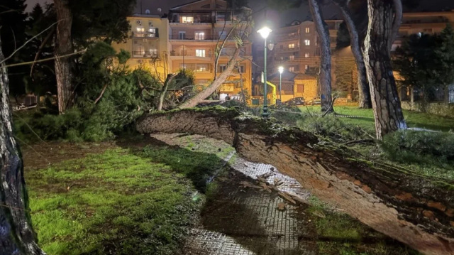 &Pi;&tau;ώ&sigma;&eta; &pi;&epsilon;ύ&kappa;&omicron;&upsilon; &sigma;&tau;&omicron; &Gamma;&eta;&rho;&omicron;&kappa;&omicron;&mu;&epsilon;ί&omicron; &Iota;&omega;&alpha;&nu;&nu;ί&nu;&omega;&nu; &lambda;ό&gamma;&omega; &tau;&omega;&nu; &sigma;&upsilon;&nu;&epsilon;&chi;ό&mu;&epsilon;&nu;&omega;&nu; &beta;&rho;&omicron;&chi;&omicron;&pi;&tau;ώ&sigma;&epsilon;&omega;&nu;, &beta;ί&nu;&tau;&epsilon;&omicron;