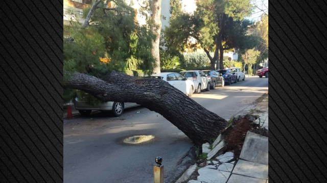 &Delta;έ&nu;&tau;&rho;&omicron; έ&pi;&epsilon;&sigma;&epsilon; &sigma;&epsilon; &delta;&rho;ό&mu;&omicron; &sigma;&tau;&omicron; &Chi;&alpha;&lambda;ά&nu;&delta;&rho;&iota;, &pi;&rho;&omicron;&beta;&lambda;ή&mu;&alpha;&tau;&alpha; &sigma;&tau;&eta;&nu; &kappa;&upsilon;&kappa;&lambda;&omicron;&phi;&omicron;&rho;ί&alpha;