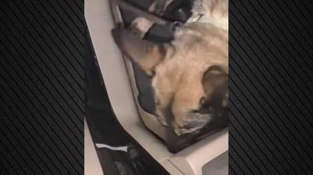 &Sigma;έ&rho;&rho;&epsilon;&sigmaf;: &Eta; Roxy &xi;&epsilon;&tau;&rho;ύ&pi;&omega;&sigma;&epsilon; 5,5 &kappa;&iota;&lambda;ά &eta;&rho;&omega;ί&nu;&eta; &pi;&omicron;&upsilon; &epsilon;ί&chi;&epsilon; &kappa;&rho;ύ&psi;&epsilon;&iota; &Beta;&omicron;ύ&lambda;&gamma;&alpha;&rho;&omicron;&sigmaf; &sigma;&epsilon; &alpha;&upsilon;&tau;&omicron;&kappa;ί&nu;&eta;&tau;&omicron;, &delta;&epsilon;ί&tau;&epsilon; &beta;ί&nu;&tau;&epsilon;&omicron;