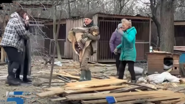 Σκληρές εικόνες: Καταφύγιο ζώων στη Ζαπορίζια έγινε στόχος ρωσικής επίθεσης με drone 