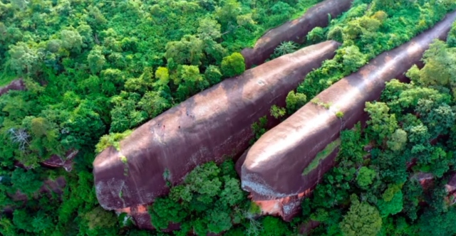 ΠΩΣ ΣΧΗΜΑΤΙΣΤΗΚΑΝ ΟΙ ΤΡΕΙΣ ΕΝΤΥΠΩΣΙΑΚΕΣ «ΦΑΛΑΙΝΕΣ» ΤΗΣ ΤΑΙΛΑΝΔΗΣ ΠΟΥ ΜΟΙΑΖΟΥΝ ΝΑ... ΚΟΛΥΜΠΟΥΝ ΜΕΣΑ ΣΤΟ ΔΑΣΟΣ