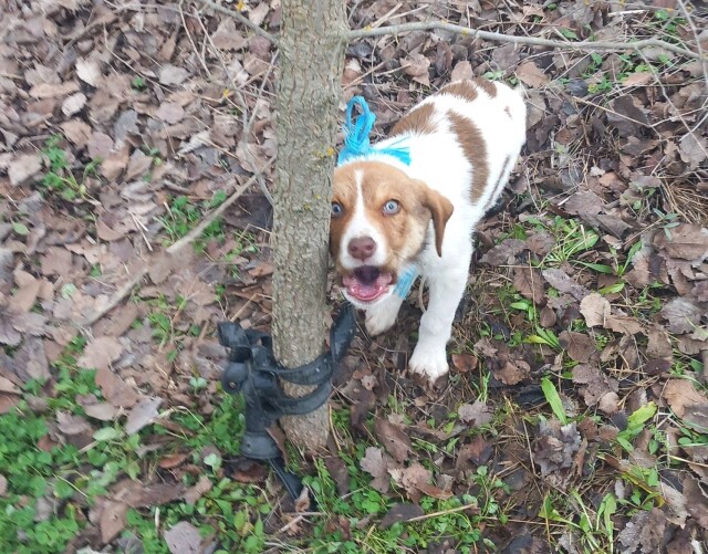 ΚΑΚΟΠΟΙΗΣΑΝ ΣΕΞΟΥΑΛΙΚΑ ΚΟΥΤΑΒΙ ΤΡΙΩΝ ΜΗΝΩΝ ΣΤΗΝ ΚΑΡΔΙΤΣΑ - ΨΑΧΝΟΥΝ DNA ΣΤΗ ΖΩΝΗ ΤΟΥ ΔΡΑΣΤΗ