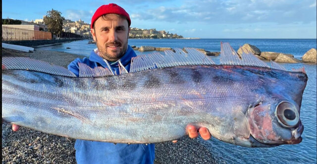 ΣΠΑΝΙΟ ΨΑΡΙ ΞΕΒΡΑΣΤΗΚΕ ΣΕ ΠΑΡΑΛΙΑ ΤΗΣ ΣΙΚΕΛΙΑΣ, ΔΕΙΤΕ ΦΩΤΟΓΡΑΦΙΕΣ
