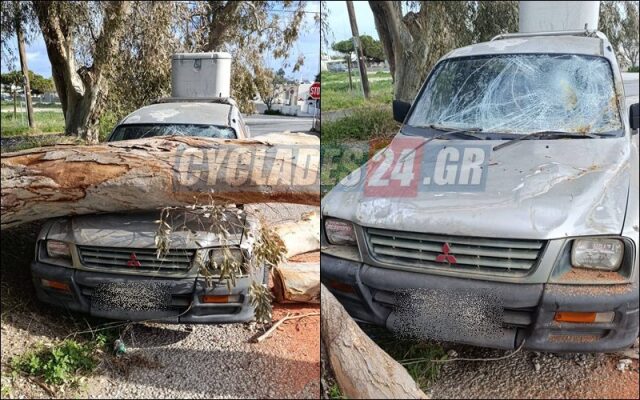 ΜΕΓΑΛΟ ΔΕΝΤΡΟ ΕΠΕΣΕ ΣΕ ΣΤΑΘΜΕΥΜΕΝΟ ΑΥΤΟΚΙΝΗΤΟ ΣΤΟ ΚΑΜΑΡΙ ΤΗΣ ΣΑΝΤΟΡΙΝΗΣ