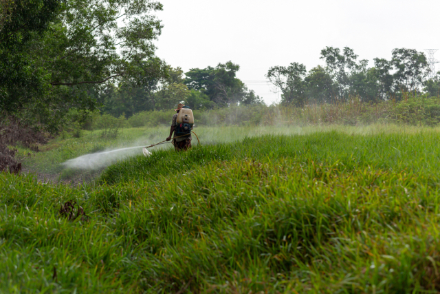 &Omicron; &Tau;&rho;&alpha;&mu;&pi; &theta;έ&lambda;&epsilon;&iota; &nu;&alpha; &upsilon;&pi;&omicron;&sigma;&tau;&eta;&rho;&iota;&chi;&tau;&epsilon;ί &eta; &pi;&alpha;&rho;&alpha;&gamma;&omega;&gamma;ή &tau;&omicron;&upsilon; &alpha;&mu;&phi;&iota;&lambda;&epsilon;&gamma;ό&mu;&epsilon;&nu;&omicron;&upsilon; &zeta;&iota;&zeta;&alpha;&nu;&iota;&omicron;&kappa;&tau;ό&nu;&omicron;&upsilon; &gamma;&lambda;&upsilon;&phi;&omicron;&sigma;ά&tau;&eta; &sigma;&tau;&iota;&sigmaf; &Eta;&Pi;&Alpha;