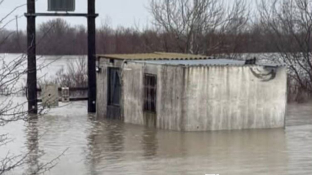 &Mu;ά&chi;&eta; &gamma;&iota;&alpha; &nu;&alpha; &sigma;&omega;&theta;&omicron;ύ&nu; &omicron;&iota;&kappa;&iota;&sigma;&mu;&omicron;ί &sigma;&tau;&omicron;&nu; Έ&beta;&rho;&omicron;, έ&sigma;&pi;&alpha;&sigma;&alpha;&nu; &tau;&alpha; &alpha;&nu;&alpha;&chi;ώ&mu;&alpha;&tau;&alpha;, &pi;&lambda;&eta;&mu;&mu;ύ&rho;&iota;&sigma;&alpha;&nu; &pi;ά&nu;&omega; &alpha;&pi;ό 100.000 &sigma;&tau;&rho;έ&mu;&mu;&alpha;&tau;&alpha;