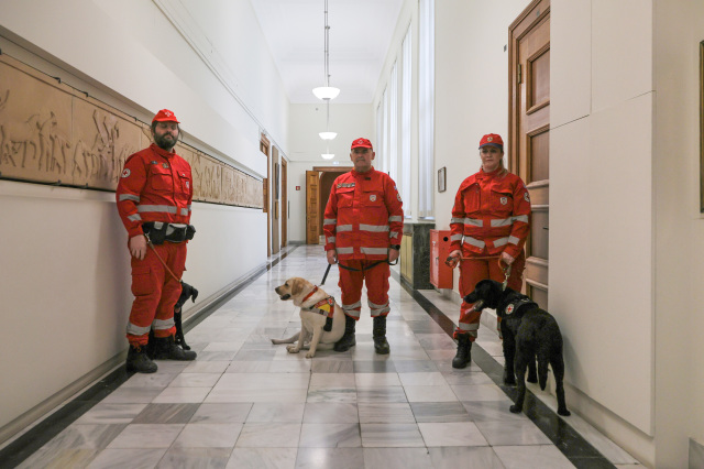 &Delta;&omega;&rho;&epsilon;ά &sigma;&kappa;ύ&lambda;&omega;&nu; &delta;&iota;&alpha;&sigma;&omega;&sigma;&tau;ώ&nu; &alpha;&pi;ό &tau;&eta; &Beta;&omicron;&upsilon;&lambda;ή, &omicron; King &kappa;&alpha;&iota; &eta; Kira &sigma;&tau;&omicron; &delta;&upsilon;&nu;&alpha;&mu;&iota;&kappa;ό &tau;&omicron;&upsilon; &Epsilon;&rho;&upsilon;&theta;&rho;&omicron;ύ &Sigma;&tau;&alpha;&upsilon;&rho;&omicron;ύ