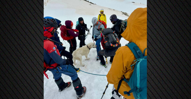 &Sigma;&kappa;ύ&lambda;&omicron;&sigmaf; &epsilon;&pi;έ&zeta;&eta;&sigma;&epsilon; 9 &mu;έ&rho;&epsilon;&sigmaf; &sigma;&epsilon; &upsilon;&psi;ό&mu;&epsilon;&tau;&rho;&omicron; 1.900 &mu;. &sigma;&tau;&omicron; &Mu;έ&tau;&sigma;&omicron;&beta;&omicron;, &tau;&omicron;&nu; &epsilon;&nu;&tau;ό&pi;&iota;&sigma;&alpha;&nu; &tau;&upsilon;&chi;&alpha;ί&alpha; &omicron;&rho;&epsilon;&iota;&beta;ά&tau;&epsilon;&sigmaf; &kappa;&alpha;&iota; &tau;&omicron;&nu; &epsilon;&pi;έ&sigma;&tau;&rho;&epsilon;&psi;&alpha;&nu; &sigma;&tau;&omicron;&nu; &iota;&delta;&iota;&omicron;&kappa;&tau;ή&tau;&eta; &tau;&omicron;&upsilon;, &delta;&epsilon;ί&tau;&epsilon; &beta;ί&nu;&tau;&epsilon;&omicron;