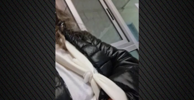 «ΑΝ ΔΕΝ ΗΤΑΝ Η ΚΟΡΗ ΜΟΥ ΘΑ ΜΕ ΕΙΧΑΝ ΚΑΤΑΣΠΑΡΑΞΕΙ», ΛΕΕΙ Η ΓΥΝΑΙΚΑ ΠΟΥ ΔΕΧΘΗΚΕ ΕΠΙΘΕΣΗ ΑΠΟ ΑΔΕΣΠΟΤΑ ΣΚΥΛΙΑ ΣΤΗΝ ΠΥΛΑΙΑ