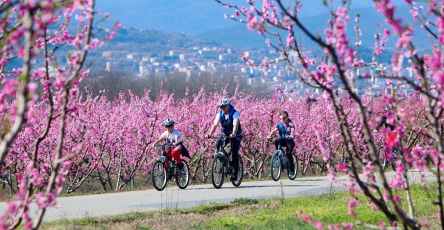 &Tau;&omicron; &pi;&alpha;&rho;&alpha;&mu;&upsilon;&theta;έ&nu;&iota;&omicron; &mu;έ&rho;&omicron;&sigmaf; &pi;&omicron;&upsilon; &delta;&epsilon;&nu; &theta;&upsilon;&mu;ί&zeta;&epsilon;&iota; &Epsilon;&lambda;&lambda;ά&delta;&alpha; &alpha;&lambda;&lambda;ά &epsilon;ί&nu;&alpha;&iota; &sigma;&tau;&eta; &Beta;έ&rho;&omicron;&iota;&alpha;, &delta;&epsilon;ί&tau;&epsilon; &beta;ί&nu;&tau;&epsilon;&omicron; &alpha;&pi;ό &tau;&eta; &rho;&omicron;&zeta; &epsilon;&pi;&alpha;&rho;&chi;ί&alpha;
