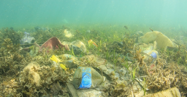 ΣΚΟΥΠΙΔΟΤΟΠΟΣ ΤΟ ΒΑΘΥΤΕΡΟ ΣΗΜΕΙΟ ΤΗΣ ΜΕΣΟΓΕΙΟΥ ΑΝΟΙΧΤΑ ΤΗΣ ΠΥΛΟΥ