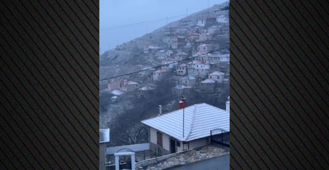 &Sigma;&tau;&alpha; &lambda;&epsilon;&upsilon;&kappa;ά &eta; &omicron;&rho;&epsilon;&iota;&nu;ή &Epsilon;&lambda;&alpha;&sigma;&sigma;ό&nu;&alpha;: &Chi;&epsilon;&iota;&mu;&omega;&nu;&iota;ά&tau;&iota;&kappa;&omicron; &xi;ύ&pi;&nu;&eta;&mu;&alpha; &mu;&epsilon; &chi;&iota;&omicron;&nu;&omicron;&pi;&tau;ώ&sigma;&epsilon;&iota;&sigmaf; &kappa;&alpha;&iota; &tau;&sigma;&omicron;&upsilon;&chi;&tau;&epsilon;&rho;ό &kappa;&rho;ύ&omicron;, &delta;&epsilon;ί&tau;&epsilon; &beta;ί&nu;&tau;&epsilon;&omicron; &kappa;&alpha;&iota; &phi;&omega;&tau;&omicron;&gamma;&rho;&alpha;&phi;ί&epsilon;&sigmaf;