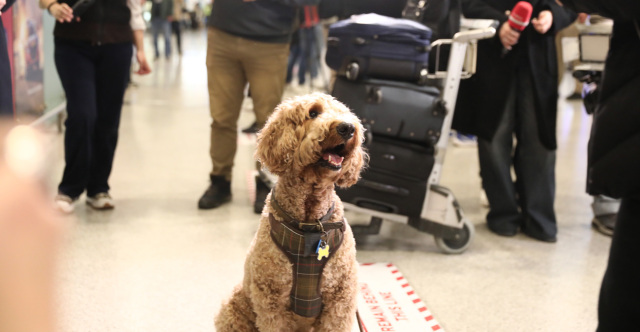 «ΣΥΓΚΙΝΗΤΙΚΕΣ ΣΚΗΝΕΣ» ΣΤΗΝ ΑΘΗΝΑ - ΜΕΓΑΛΟ ΕΝΔΙΑΦΕΡΟΝ ΔΙΕΘΝΩΝ ΜΜΕ ΓΙΑ ΤΗΝ ΕΛΛΗΝΙΚΗ ΕΠΙΧΕΙΡΗΣΗ ΕΠΑΝΑΠΑΤΡΙΣΜΟΥ ΚΑΤΟΙΚΙΔΙΩΝ ΑΠΟ ΤΗ ΜΕΣΗ ΑΝΑΤΟΛΗ