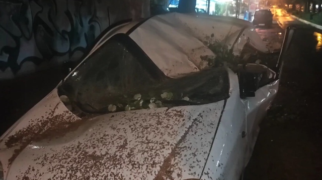 &Kappa;&alpha;&kappa;&omicron;&kappa;&alpha;&iota;&rho;ί&alpha;: &Delta;έ&nu;&tau;&rho;&omicron; &iota;&sigma;&omicron;&pi;έ&delta;&omega;&sigma;&epsilon; &alpha;&upsilon;&tau;&omicron;&kappa;ί&nu;&eta;&tau;&omicron; &sigma;&tau;&eta;&nu; &Eta;&lambda;&iota;&omicron;ύ&pi;&omicron;&lambda;&eta;, &delta;&epsilon;ί&tau;&epsilon; &beta;ί&nu;&tau;&epsilon;&omicron;