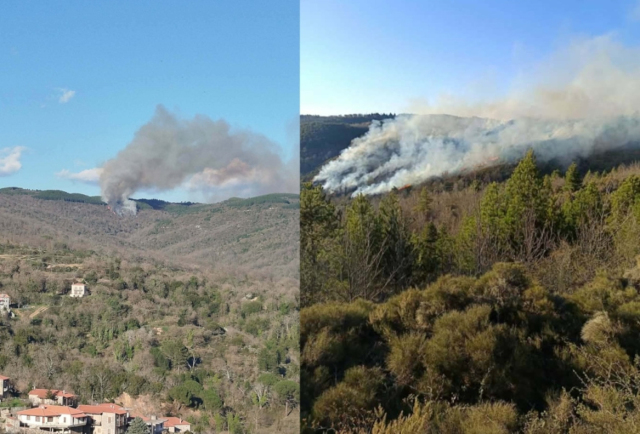 &Chi;&omega;&rho;ί&sigmaf; &epsilon;&nu;&epsilon;&rho;&gamma;ό &mu;έ&tau;&omega;&pi;&omicron; &eta; &phi;&omega;&tau;&iota;ά &sigma;&tau;&iota;&sigmaf; &Kappa;&alpha;&rho;&upsilon;έ&sigmaf; &Lambda;&alpha;&kappa;&omega;&nu;ί&alpha;&sigmaf;