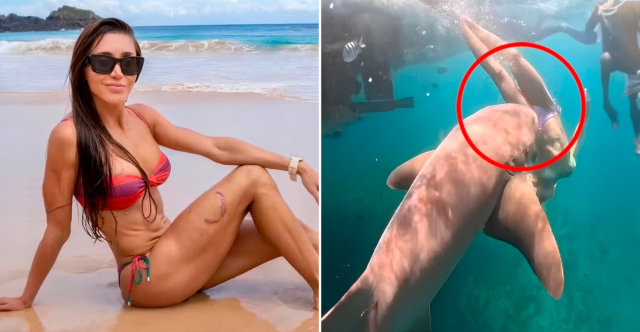 ΒΡΑΖΙΛΙΑ: ΚΑΡΕ-ΚΑΡΕ Η ΣΤΙΓΜΗ ΠΟΥ ΚΑΡΧΑΡΙΑΣ ΑΡΠΑΖΕΙ ΑΠΟ ΤΟ ΠΟΔΙ ΤΟΥΡΙΣΤΡΙΑ ΜΟΛΙΣ ΒΟΥΤΑ ΣΤΗ ΘΑΛΑΣΣΑ, ΔΕΙΤΕ ΒΙΝΤΕΟ