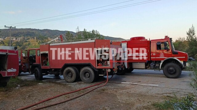 &Upsilon;&pi;ό έ&lambda;&epsilon;&gamma;&chi;&omicron; &eta; &phi;&omega;&tau;&iota;ά &sigma;&epsilon; &delta;&alpha;&sigma;&iota;&kappa;ή έ&kappa;&tau;&alpha;&sigma;&eta; &sigma;&tau;&omicron; &Nu;&epsilon;&omicron;&chi;ώ&rho;&iota; &Pi;&eta;&lambda;ί&omicron;&upsilon;, &phi;&epsilon;ί&tau;&epsilon; &phi;&omega;&tau;&omicron;&gamma;&rho;&alpha;&phi;ί&epsilon;&sigmaf;