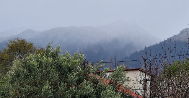 &Kappa;&alpha;&sigma;&tau;ά&nu;&iota;&alpha;&nu;&eta; &Pi;&omega;&gamma;&omega;&nu;ί&omicron;&upsilon; &Iota;&omega;&alpha;&nu;&nu;ί&nu;&omega;&nu;: &Tau;&omicron; &chi;&omega;&rho;&iota;ό &pi;&omicron;&upsilon; &pi;&lambda;ή&rho;&omega;&sigma;&epsilon; &beta;&alpha;&rho;ύ &tau;ί&mu;&eta;&mu;&alpha; &mu;&epsilon; ά&mu;&alpha;&chi;&omicron;&upsilon;&sigmaf; &nu;&epsilon;&kappa;&rho;&omicron;ύ&sigmaf; &alpha;&pi;ό &nu;ά&rho;&kappa;&epsilon;&sigmaf; &chi;&epsilon;&iota;&rho;&omicron;&beta;&omicron;&mu;&beta;ί&delta;&epsilon;&sigmaf; &kappa;&alpha;&iota; ό&lambda;&mu;&omicron;&upsilon;&sigmaf; &mu;&epsilon;&tau;ά &tau;&omicron;&nu; &pi;ό&lambda;&epsilon;&mu;&omicron;