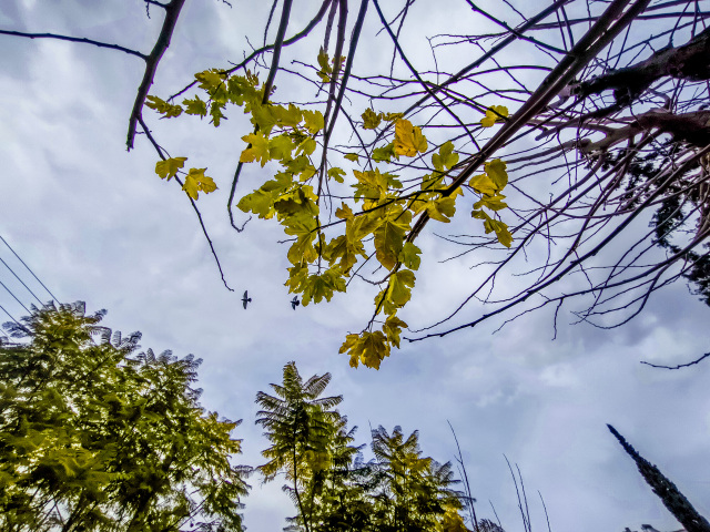 ΑΛΛΑΖΕΙ Ο ΚΑΙΡΟΣ: ΒΡΟΧΕΣ ΚΑΙ ΠΤΩΣΗ ΤΗΣ ΘΕΡΜΟΚΡΑΣΙΑΣ ΜΕΤΑ ΤΟ ΜΕΣΗΜΕΡΙ, Η ΠΡΟΓΝΩΣΗ ΓΙΑ ΤΗΝ ΠΡΩΤΟΜΑΓΙΑ