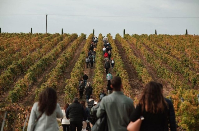 TasteGreekWines.com: &Eta; &nu;έ&alpha; &psi;&eta;&phi;&iota;&alpha;&kappa;ή &pi;ύ&lambda;&eta; &pi;&omicron;&upsilon; &phi;έ&rho;&nu;&epsilon;&iota; &tau;&omicron;&nu; &epsilon;&lambda;&lambda;&eta;&nu;&iota;&kappa;ό &omicron;&iota;&nu;&omicron;&tau;&omicron;&upsilon;&rho;&iota;&sigma;&mu;ό έ&nu;&alpha; &kappa;&lambda;&iota;&kappa; &pi;&iota;&omicron; &kappa;&omicron;&nu;&tau;ά
