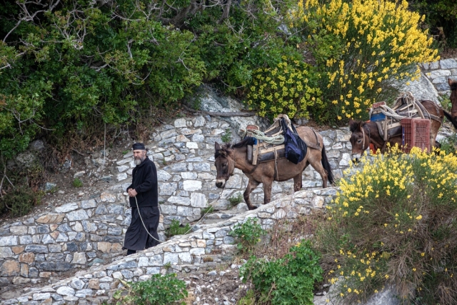 &Beta;&iota;&beta;&lambda;ί&omicron; &mu;&epsilon; &pi;&lambda;&omicron;ύ&sigma;&iota;&omicron; &phi;&omega;&tau;&omicron;&gamma;&rho;&alpha;&phi;&iota;&kappa;ό &upsilon;&lambda;&iota;&kappa;ό &alpha;&pi;&omicron;&tau;&upsilon;&pi;ώ&nu;&epsilon;&iota; &tau;&omicron;&nu; &phi;&upsilon;&tau;&iota;&kappa;ό &theta;&eta;&sigma;&alpha;&upsilon;&rho;ό &tau;&omicron;&upsilon; &Alpha;&gamma;ί&omicron;&upsilon; Ό&rho;&omicron;&upsilon;&sigmaf;