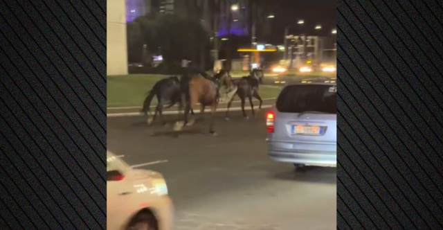 Άλογα εκτός ελέγχου καλπάζουν σε λεωφόρο της Ρώμης, πέντε τραυματίες, βίντεο | Επικαιρότητα στο PlusTV.gr