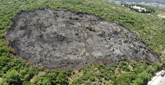 ΓΙΑ ΕΜΠΡΗΣΜΟ ΑΠΟ ΑΜΕΛΕΙΑ ΚΑΤΗΓΟΡΟΥΝΤΑΙ ΟΙ ΤΡΕΙΣ ΕΡΓΑΤΕΣ ΠΟΥ ΣΥΝΕΛΗΦΘΗΣΑΝ ΓΙΑ ΤΗ ΦΩΤΙΑ ΣΤΑ ΠΕΥΚΑ ΘΕΣΣΑΛΟΝΙΚΗΣ